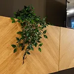 Spacious 506 *